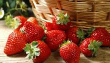 Secrets of incredible weight loss