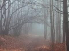 В Україні в четвер прохолодно, сиро і туманно