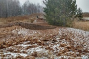 Росспоживнагляд відібрав проби грунту в селі Невьянского району, яке завалили курячим послідом