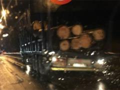 На Средней Волге в России столкнулись лесовоз и маршрутка: девять погибших