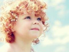 Artificial placenta for premature infants