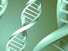 HIV infection speeds up aging