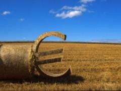 The agro-industrial complex is the engine of the Ukrainian economy, - Groysman
