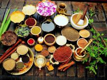 Curcuma heals tuberculosis