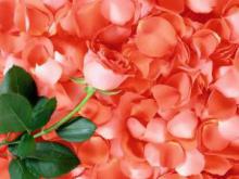 Causes of allergies: tips