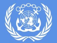 Аудит Украины проведет Международная морская организация