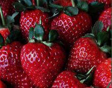 Nine natural ways to strengthen immunity