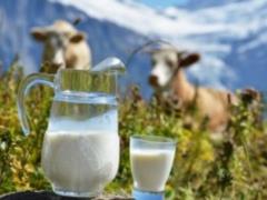 Ukraine is increasing the volume of milk production