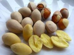 Folk Remedies for Heart Attack