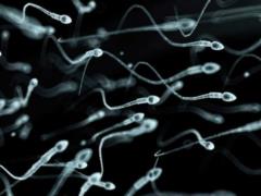 Male infertility explained by air pollution