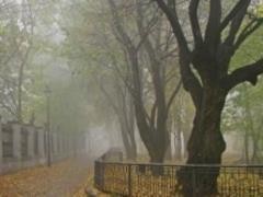 Weather forecasters warned about the fog in Ukraine