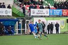 Cup top of Kiev economists