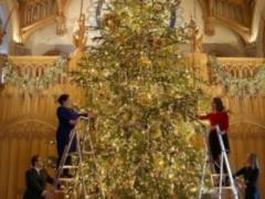 У королівському замку Британської королеви встановили ялинку