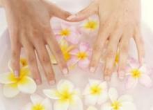 Flower pollen: what s the use