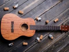 Ukulele: briefly about the main