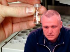 Эффекту  пьяного мальчика  нашли объяснение
