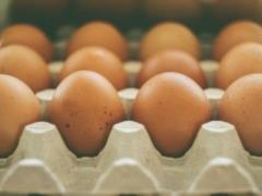 Export of Ukrainian eggs increased 1.5 times