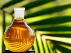 This year, Ukraine imported more than 170 thousand. tons of palm oil