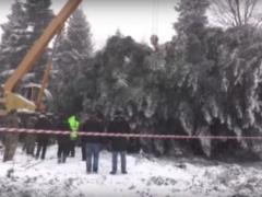 Bad weather prevented the main Christmas tree of the country in time to arrive in the capital