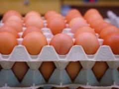В Украине дорожают куриные яйца