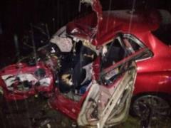 На Житомирщине авто с иностранцами попало в ДТП