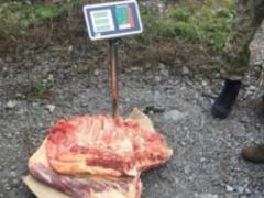 В ДНР пытались провезти 300 кг мяса