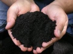 Рада продовжила мораторій на продаж сільгоспземель