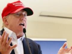 America has done a lot to pacify the planet, - Trump