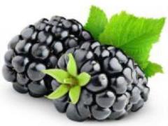 The most important nutrients for the brain
