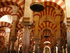 The European Year of Cultural Heritage has started