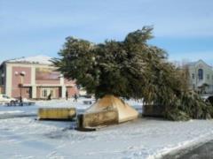 The Christmas tree collapsed in Zolotonosha