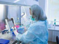 Sensors from the satellite will help in the diagnosis of melanoma