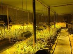 Поліція і Полтавської області ліквідувала міжнародну нарколабораторію - ФОТО,