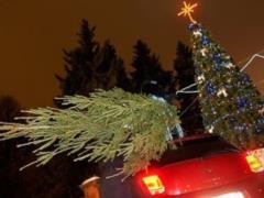 На подъездах к столице начнут проверять авто с елками