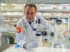Alligator blood will protect soldiers from infections