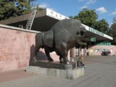 Кличко пообещал реконструировать Киевского зоопарка весной 2018 года