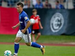Linnet: Bundesliga is more suitable for Fedinsky than for me