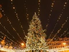 At the opening of the main Christmas tree in Kiev will install metal detectors