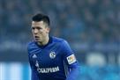 Eintracht F - Schalke: The linnet hit the starting lineup