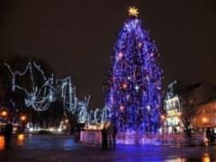 Во Львове торжественно зажглась главная елка города