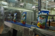 Gastro quest: EHL opened secrets of mayonnaise production