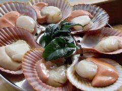 In France, boasted a record catch of sea scallops
