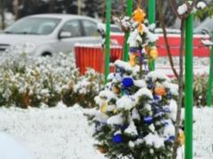 В Ужгороде поставили самую маленькую  официальную новогоднюю елку  в Украине