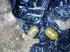 In the Donetsk region, the police found a cache of weapons