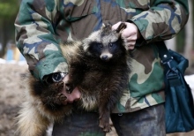 The deputies proposed the creation in Russia of the zoo