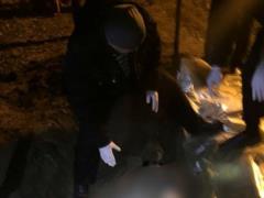 Аброськин рассказал о раскрытии ряда резонансных преступлений