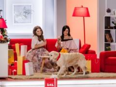  Snidanok z 1 + 1  and the star  Voice of the edge  will show a festive musical on New Year s Eve