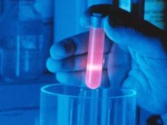 Doping hysteria reached insanity