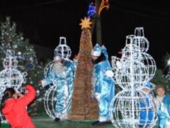 In Ukraine, a pencil tree was made,
