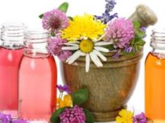 Spices and herbs that help fight cancer